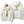 Chicane Shell Sport Jacket