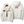 Paddock Shell Sport Jacket